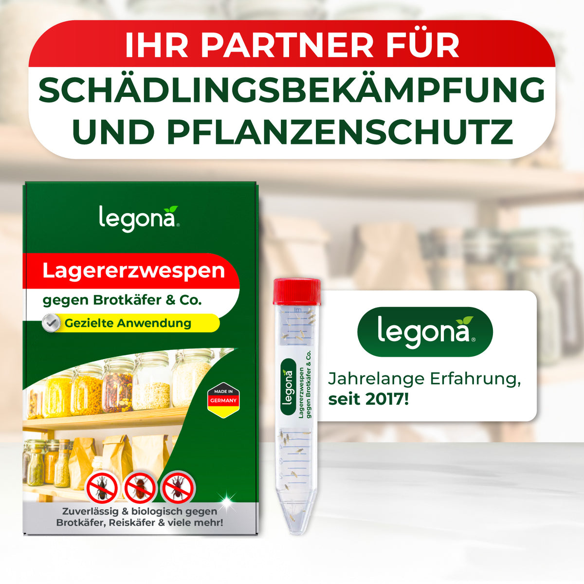 Lagererzwespen gegen Brotkäfer, Reiskäfer & Tabakkäfer