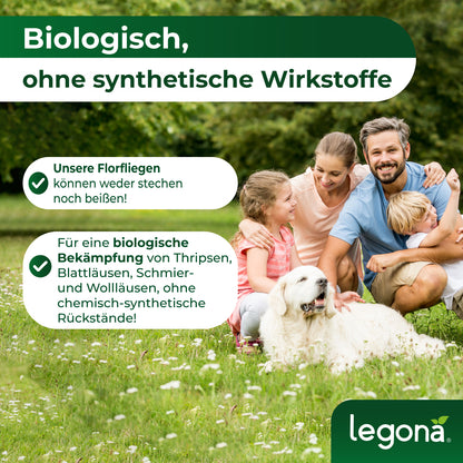 Florfliegenlarven gegen Blattläuse und Thripse