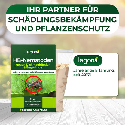 HB-Nematoden gegen Dickmaulrüssler und Engerlinge