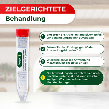 Lagererzwespen gegen Kugelkäfer & Messingkäfer