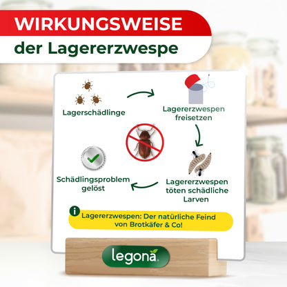 Lagererzwespen gegen Brotkäfer, Reiskäfer & Tabakkäfer