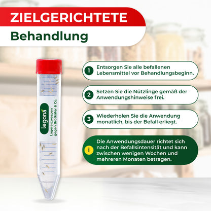 Lagererzwespen gegen Brotkäfer, Reiskäfer & Tabakkäfer
