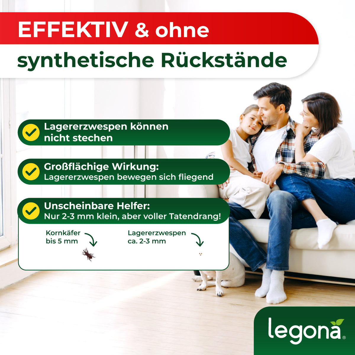 Lagererzwespen gegen Brotkäfer, Reiskäfer & Tabakkäfer