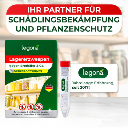 Lagererzwespen gegen Brotkäfer, Reiskäfer & Tabakkäfer