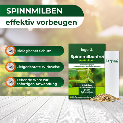Raubmilben gegen Spinnmilben