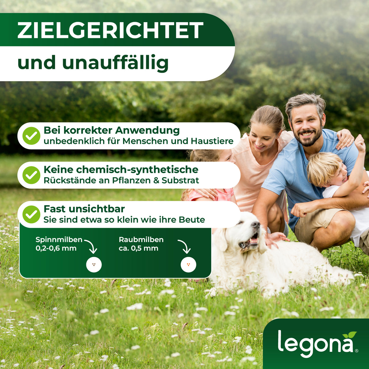 Raubmilben gegen Spinnmilben