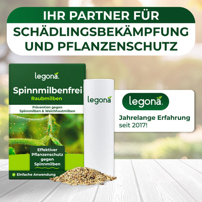 Raubmilben gegen Spinnmilben
