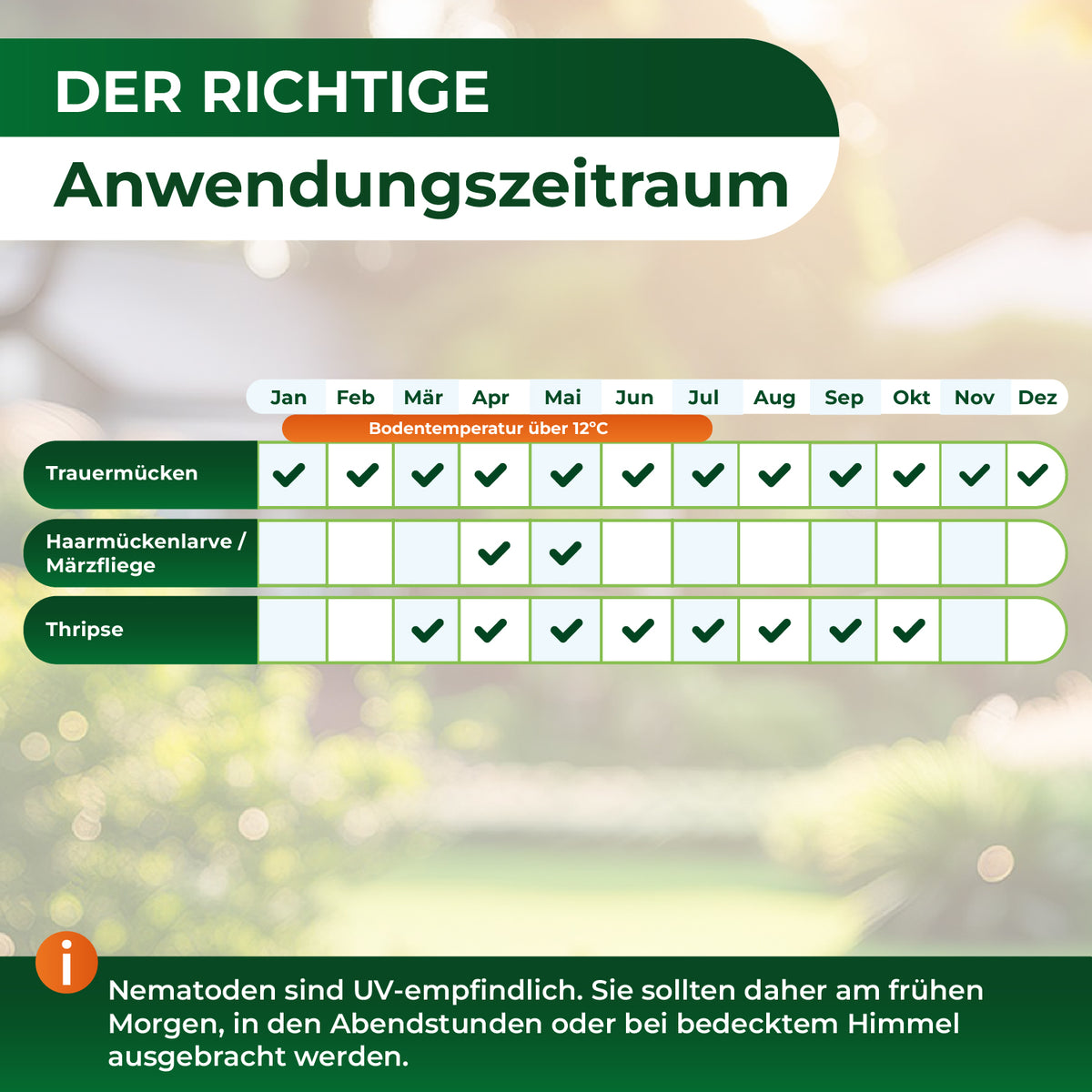 Infografik mit einem Monatskalender von Januar bis Dezember, der die Anwendungszeiträume für Trauermücken, Haarmückenlarven/Märzfliege und Thripse bei Bodentemperatur über 12 °C zeigt, ergänzt durch einen Hinweis zu UV-Empfindlichkeit von Nematoden