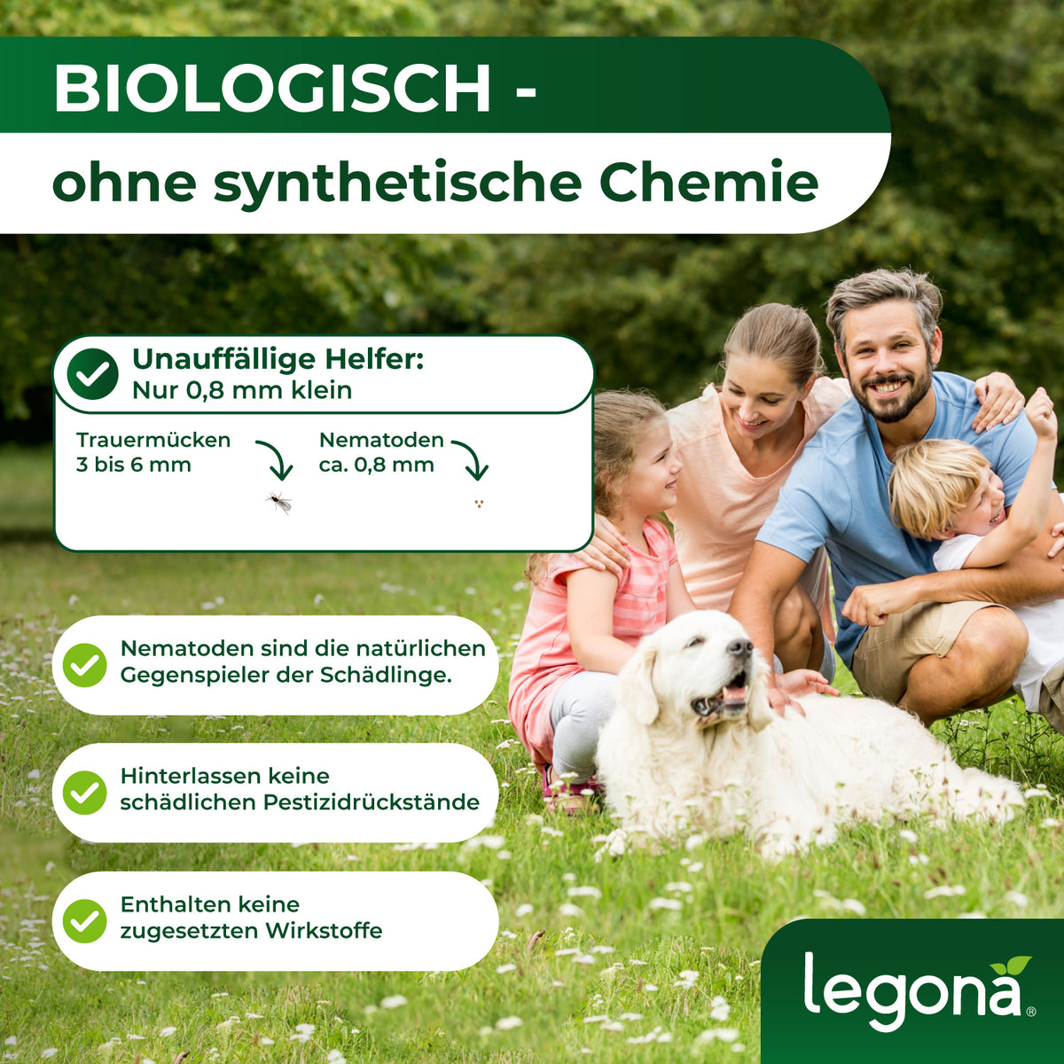 SF-Nematoden gegen Trauermücken und Rüsselkäfer