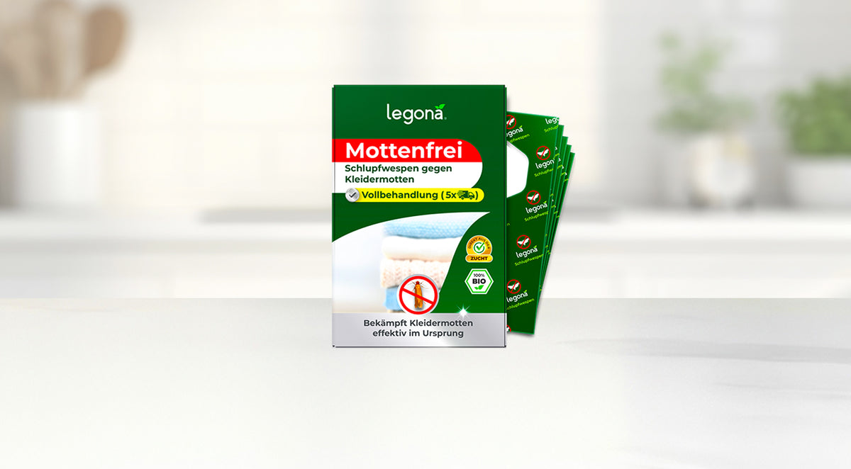Verpackung von Legona Mottenfrei mit Text zu Schlupfwespen gegen Kleidermotten, daneben mehrere grüne Trägerstreifen im Fächer vor unscharfem Küchenhintergrund