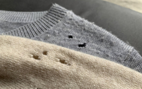 Zwei Pullover mit mehreren kleinen Löchern, verursacht durch Kleidermotten, ein grauer und ein beiger Pullover