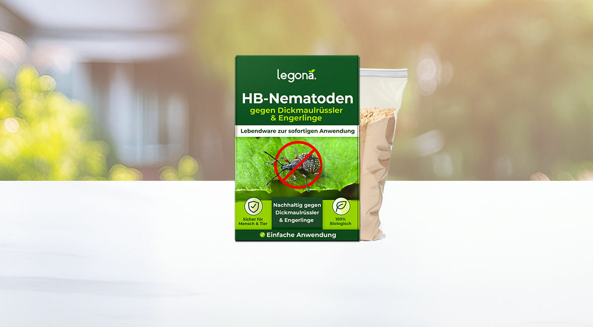 Verpackung von Legona HB-Nematoden gegen Dickmaulrüssler und Engerlinge mit grünem Etikett und Symbolen für nachhaltige Anwendung und einfache Nutzung vor unscharfem Garten-Hintergrund