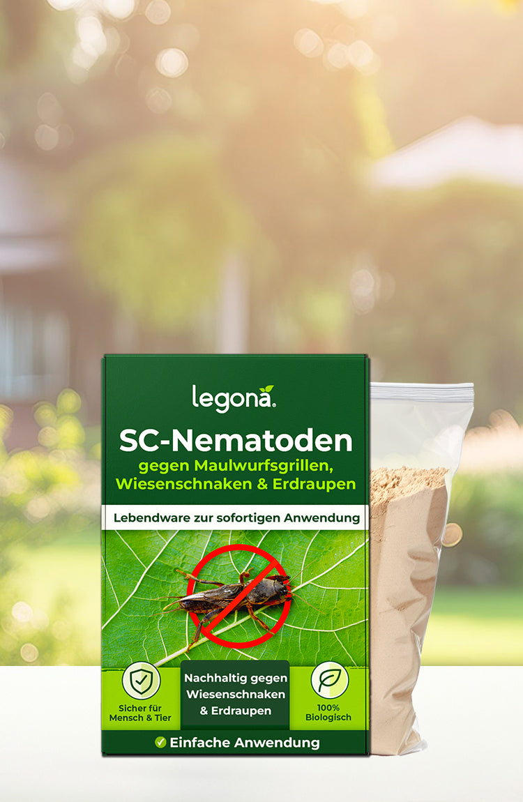 Verpackung von Legona SC-Nematoden gegen Maulwurfsgrillen, Wiesenschnaken und Erdraupen mit grünem Etikett und Symbolen für nachhaltige Anwendung und einfache Nutzung vor unscharfem Garten-Hintergrund
