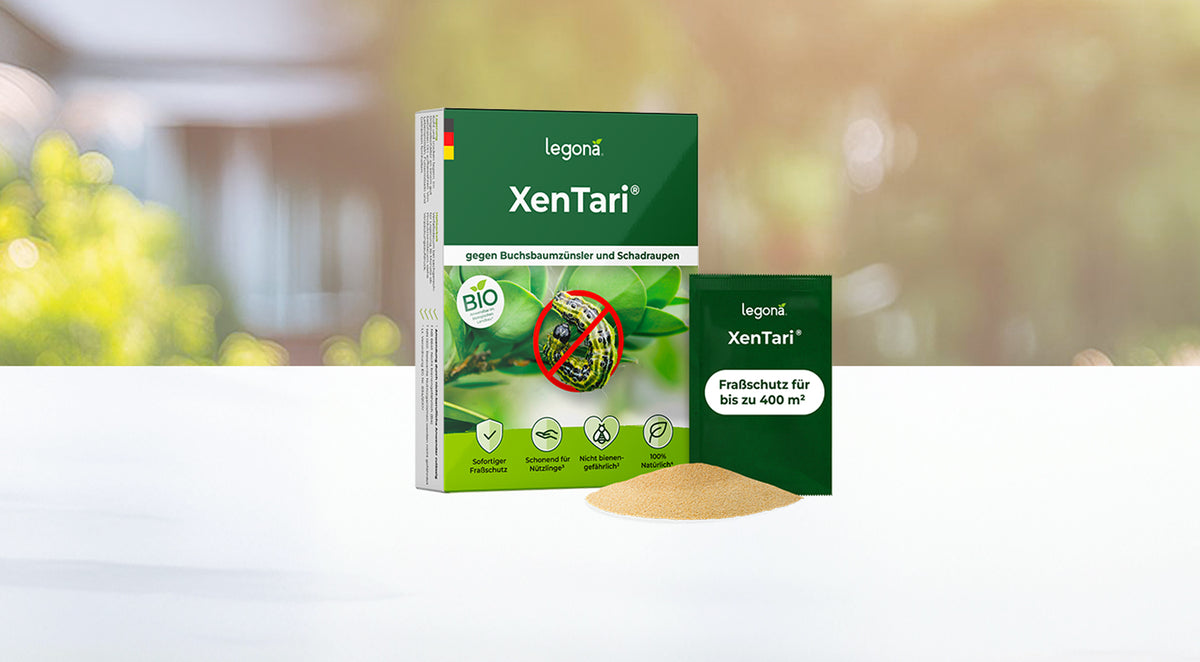 Verpackung von Legona XenTari mit Bild einer Raupe auf einem Blatt, durchgestrichen mit rotem Kreis, daneben ein grünes Pulverhäufchen und ein einzelnes Pulverpäckchen mit der Aufschrift 'Fraßschutz für bis zu 400 m²' vor unscharfem Garten-Hintergrund